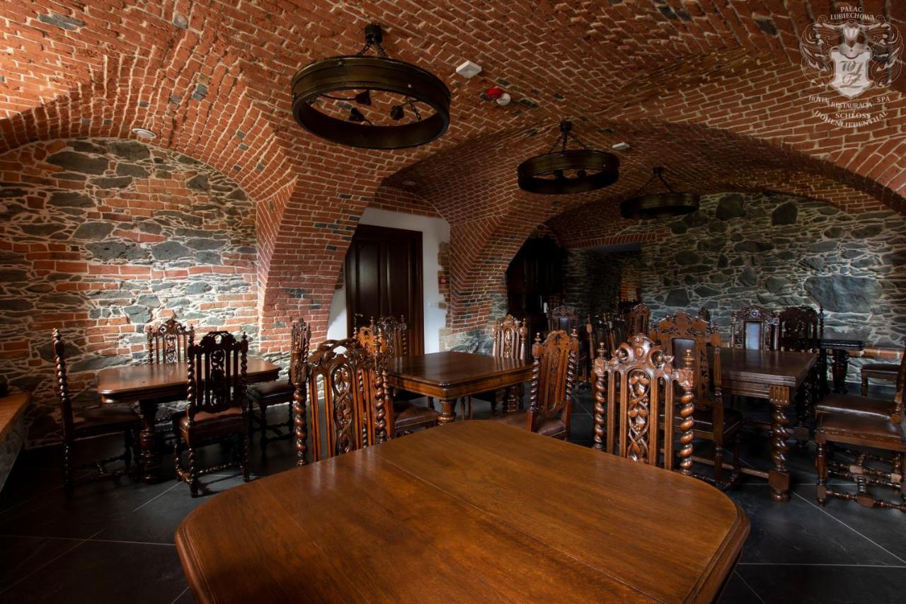 Palac Lubiechowa-Jelenia Gora- Riesengebirge Extérieur photo
